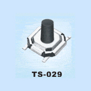 Ts-029