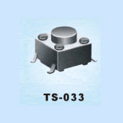 TS-033