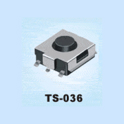 TS-036