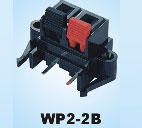 wP2-2B