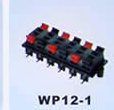 wP12-1